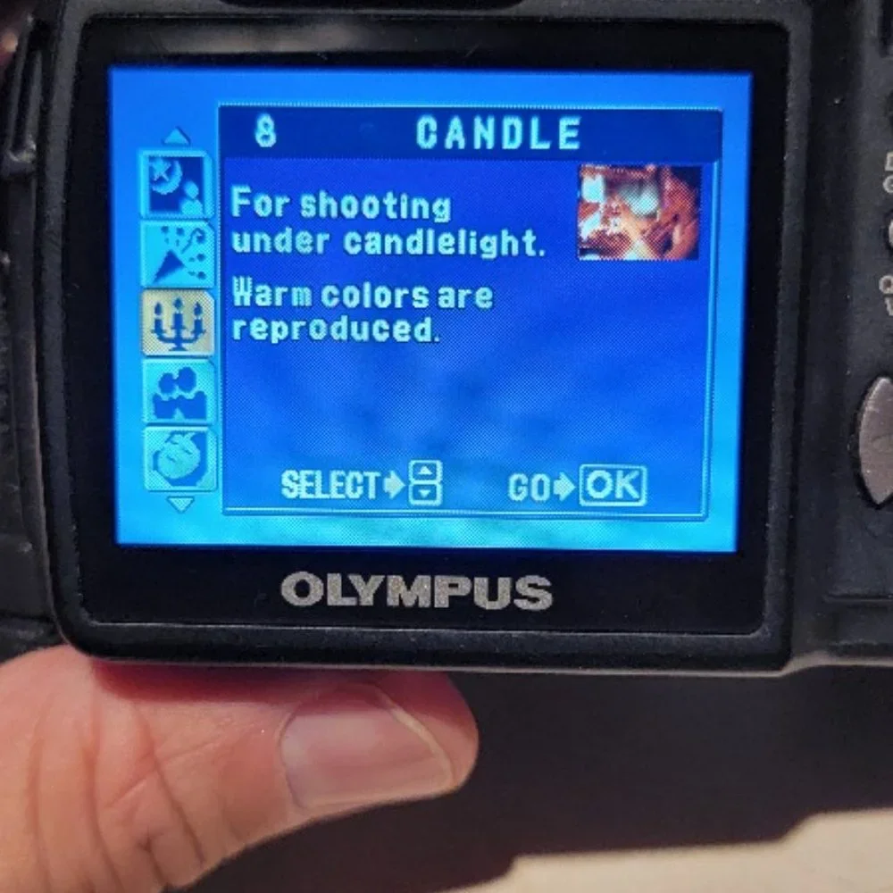 Nikon COOLPIX L820 Digital Camera